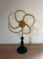 Opgezette zeester, Verzamelen, Dierenverzamelingen, Ophalen of Verzenden, Zo goed als nieuw, Wild dier, Opgezet dier