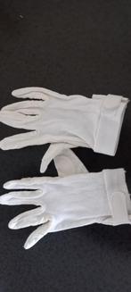 Witte handschoenenen Wedstrijdhandschoenen. Rijhandschoenen, Ophalen of Verzenden