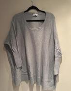 Reinders trui grijs, Ophalen of Verzenden, Zo goed als nieuw, Maat 42/44 (L), Grijs