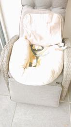 hondenmand voor in de auto., Dieren en Toebehoren, Ophalen, Zo goed als nieuw