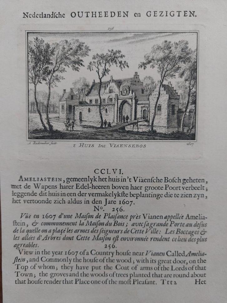 256 / Huis Viaensebos te Vianen Gravure A. Rademaker 1e druk, Antiek en Kunst, Kunst | Etsen en Gravures, Ophalen of Verzenden