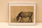 Prent/tekening van een paard 49004
