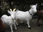 NIEUWE BEELDEN GEITEN , BOKJES , VARKENTJES, Ophalen, Nieuw, Kunststof, Dierenbeeld
