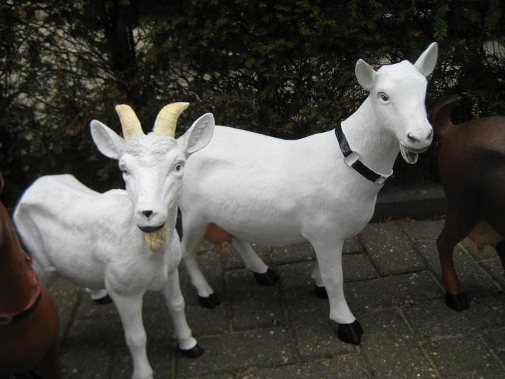 NIEUWE BEELDEN GEITEN , BOKJES , VARKENTJES, Tuin en Terras, Tuinbeelden, Nieuw, Dierenbeeld, Kunststof, Ophalen