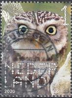 Nederland- 2020- NVPH-3831- Natuur- Vogels- Steenuil- G, Verzenden, Na 1940, Gestempeld