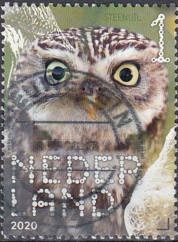 Nederland- 2020- NVPH-3831- Natuur- Vogels- Steenuil- G, Postzegels en Munten, Postzegels | Nederland, Gestempeld, Na 1940, Verzenden