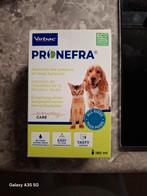 Pronefra (nierfalen), Dieren en Toebehoren, Ophalen, Nieuw