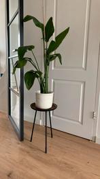 Plantentafel bijzettafeltje, Huis en Inrichting, Tafels | Bijzettafels, Minder dan 45 cm, Rond, Ophalen of Verzenden, Minder dan 55 cm