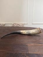 Stierenhoorn / Watusi hoorn - 53cm - Stoer & Landelijk, Huis en Inrichting, Woonaccessoires | Overige, Ophalen of Verzenden, Gebruikt