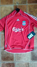 Liverpool shirt nieuw, Ophalen of Verzenden, Nieuw, Buitenlandse clubs, Shirt