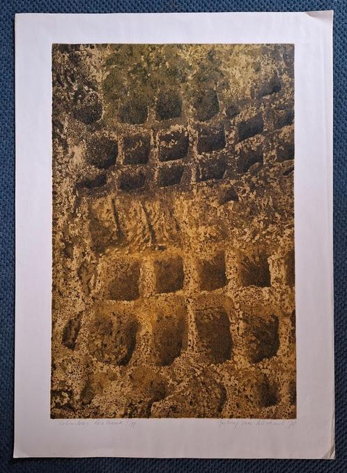 Litho van Antony van Lieshout .Alleen ophalen., Antiek en Kunst, Kunst | Schilderijen | Abstract, Ophalen