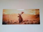 Glazen Schilderij - Hert - 120x50 cm, Ophalen of Verzenden