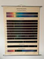 SPEKTRALTAFEL schoolposter 1965, Deurposter of groter, Ophalen of Verzenden, Dier of Natuur, Rechthoekig Staand
