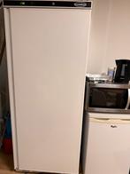 Te koop: Grote koelkast 600 liter – €125, Witgoed en Apparatuur, Vriezers en Diepvrieskisten, Ophalen, Zo goed als nieuw, 60 tot 90 cm