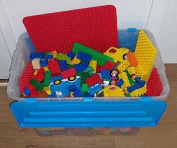 duplo assortiment (10 kg) beschikbaar voor biedingen