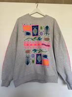 Stieglitz Sweater Grijs - Zo Goed Als Nieuw, Kleding | Dames, Truien en Vesten, Ophalen of Verzenden, Zo goed als nieuw, Maat 38/40 (M)