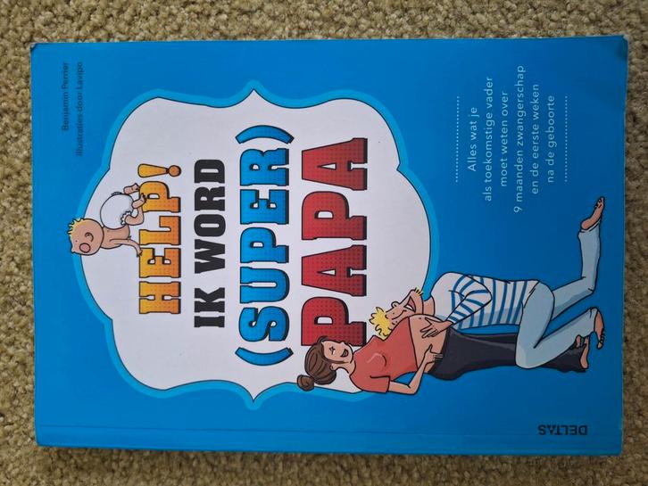 6 boeken over zwangerschap / vaderschap, Boeken, Zwangerschap en Opvoeding, Zo goed als nieuw, Zwangerschap en Bevalling, Ophalen of Verzenden