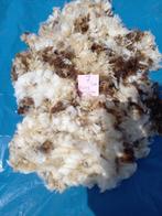 nr 7 Geschoren vacht van een bergschaap lam, Hobby en Vrije tijd, Ophalen of Verzenden