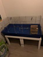 Skyline caviakooi maxi xxl, Kooi, 110 cm of meer, Zo goed als nieuw, Cavia