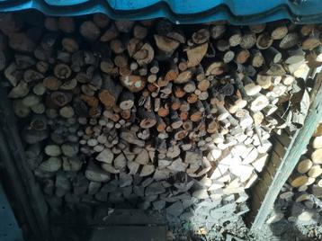 Gratis hout  beschikbaar voor biedingen