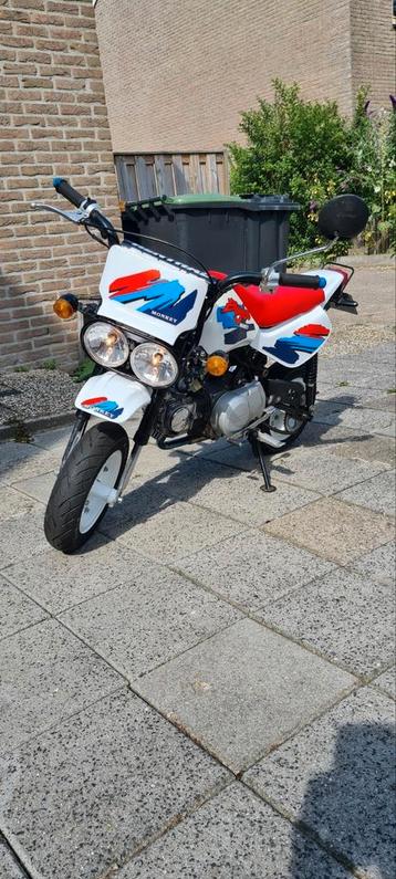 Honda monkey Baja  beschikbaar voor biedingen