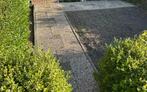 GRATIS grindtegels 31st, Tuin en Terras, Ophalen, Gebruikt, 10 m² of meer, Beton