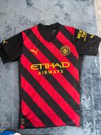Manchester City shirt, Ophalen of Verzenden, Zo goed als nieuw, Shirt