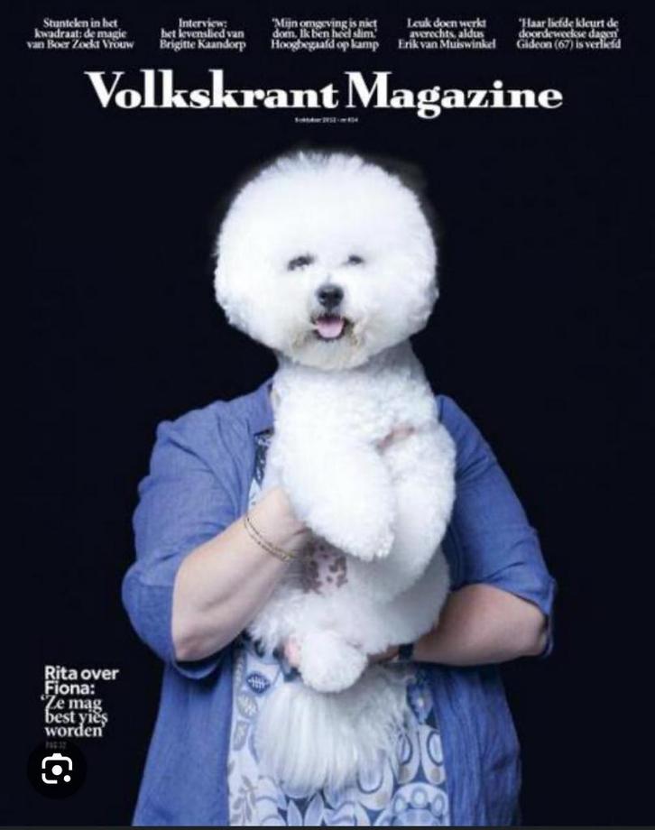 Gezocht: Volkskrant Magazine, Boeken, Tijdschriften en Kranten, Zo goed als nieuw, Muziek, Film of Tv, Ophalen of Verzenden