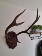 Gewei op schild, Ophalen, Gebruikt