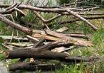 Haardhout gratis, Tuin en Terras, Haardhout, Minder dan 3 m³, Ophalen of Verzenden, Overige houtsoorten, Blokken