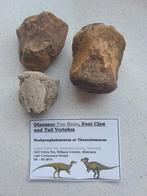pachycephalosaurus wervel en klauw, Verzamelen, Mineralen en Fossielen, Ophalen of Verzenden, Fossiel