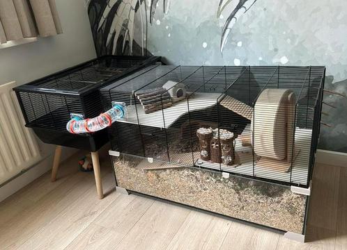 Mooie grote geschakelde kooi, Dieren en Toebehoren, Knaagdieren en Konijnen | Hokken en Kooien, Zo goed als nieuw, Kooi, 60 tot 90 cm