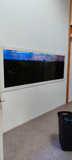 Groot aquarium, Dieren en Toebehoren, Ophalen of Verzenden, Leeg aquarium
