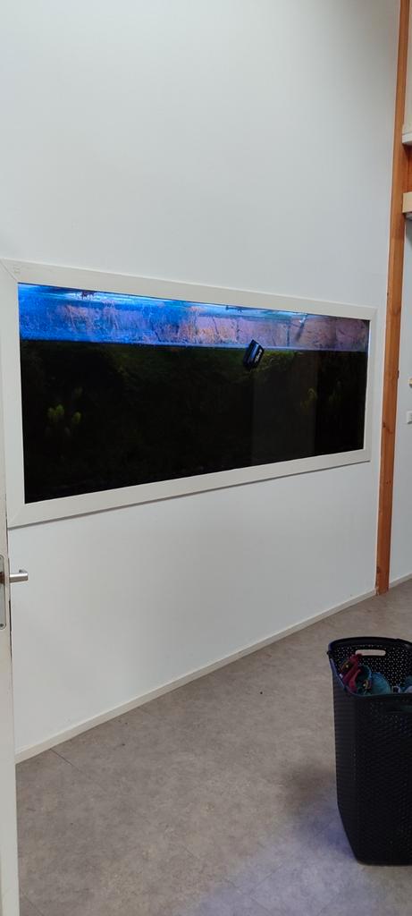 Groot aquarium, Dieren en Toebehoren, Vissen | Aquaria en Toebehoren, Leeg aquarium, Ophalen of Verzenden