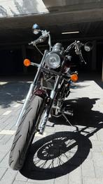 Suzuki Intruder 1400 (VS1400), Particulier, Chopper