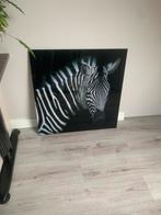 Glazen Schilderij Zebra 80x80cm, Huis en Inrichting, Woonaccessoires | Schilderijen, Tekeningen en Foto's, Ophalen, Zo goed als nieuw