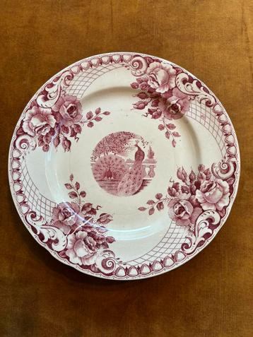 8 x ontbijt bordje Peacock vintage brocante beschikbaar voor biedingen