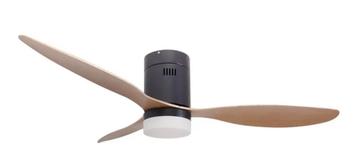 Plafondventilator met verlichting  beschikbaar voor biedingen