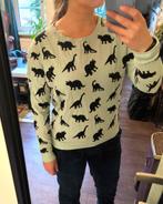 Trui met dino's, H&M, Blauw, Ophalen of Verzenden, Maat 34 (XS) of kleiner