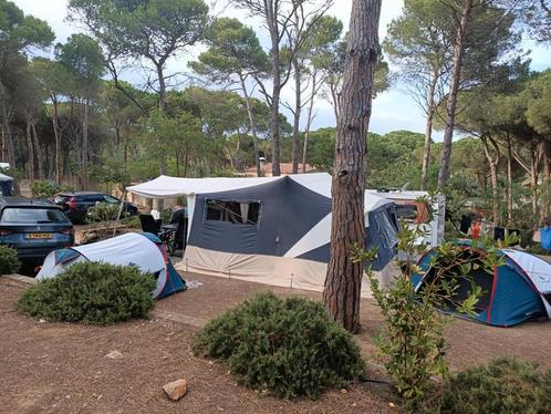 Trigano odyssee 2011, Caravans en Kamperen, Vouwwagens, tot en met 5, Ophalen