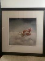 Litho’s van Ans Markus - sterrenbeelden, Antiek en Kunst, Kunst | Litho's en Zeefdrukken, Ophalen of Verzenden