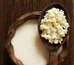 melkkefir korrels, Ophalen