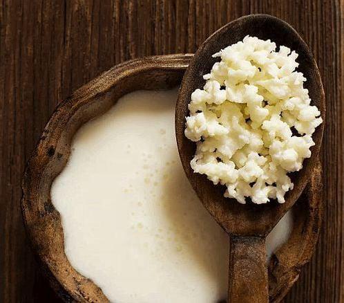 melkkefir korrels, Diversen, Levensmiddelen, Ophalen
