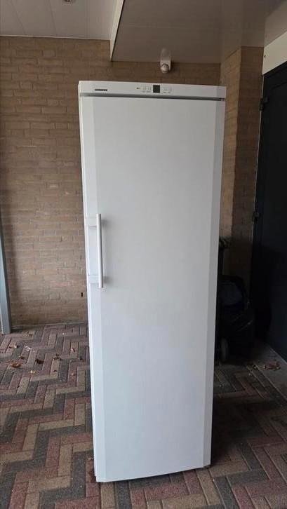 Liebherr vrieskast 8 laden no frost, Witgoed en Apparatuur, Vriezers en Diepvrieskisten, Zo goed als nieuw, 160 cm of meer, 60 tot 90 cm