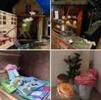 Gezocht gratis kunst- en droogbloemen, Ophalen, Zo goed als nieuw