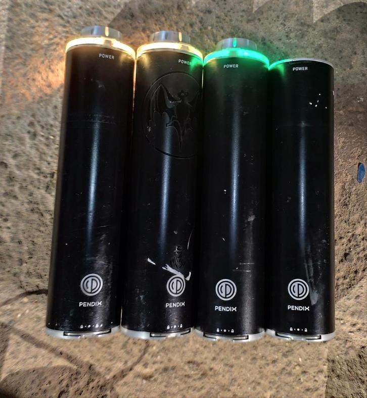 Fietsaccu's Pendix, Van Raam, Fietsen en Brommers, Fietsaccessoires | Fietsaccu's, Gebruikt, Ophalen of Verzenden