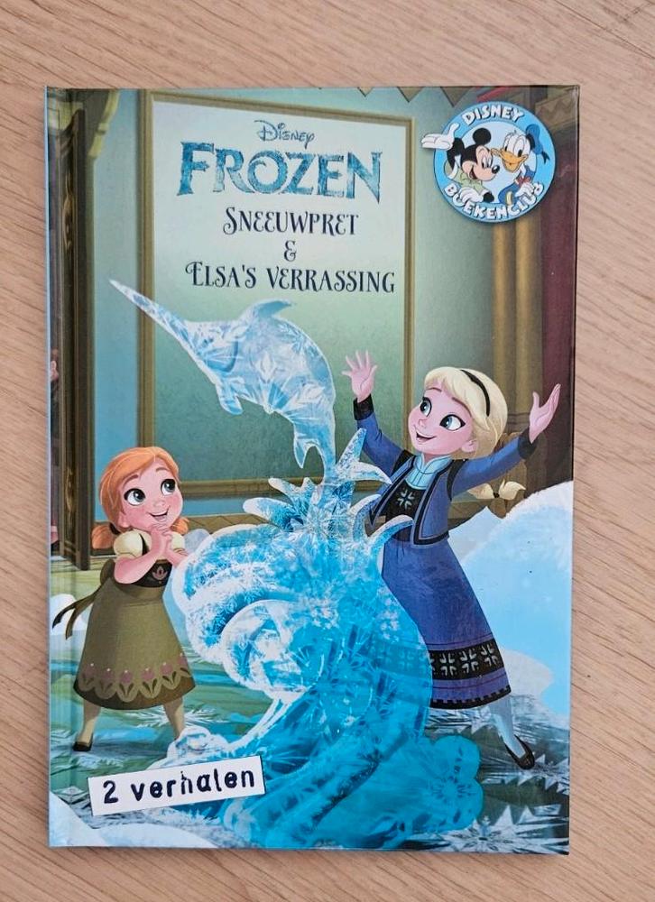 Frozen boeken, Boeken, Kinderboeken | Jeugd | onder 10 jaar, Zo goed als nieuw, Ophalen of Verzenden