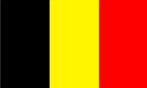 Nationale vlag Belgie, Diversen, Vlaggen en Wimpels, Nieuw, Verzenden