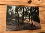 Ansichtkaart Hoenderloo, camping veluw’s hof, Ophalen of Verzenden, 1960 tot 1980