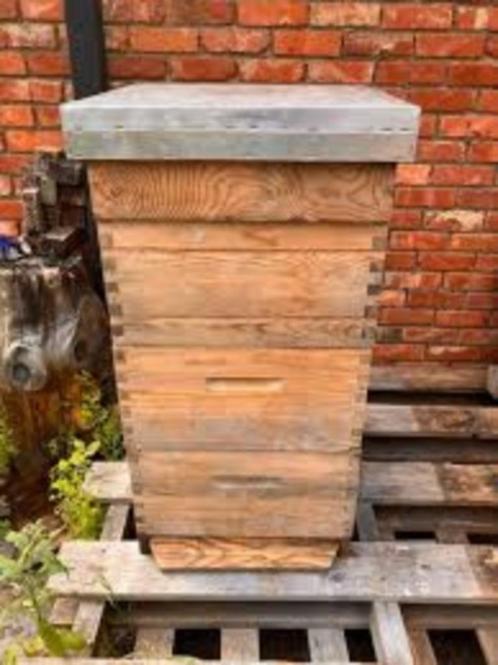 Bijenkast Simplex gezocht, Dieren en Toebehoren, Insecten en Spinnen, Bijen